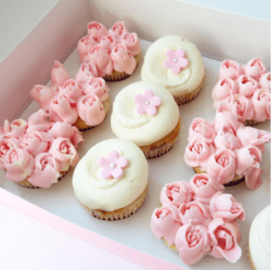 georgetown cupcakes