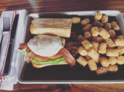 sandwich and tater tots
