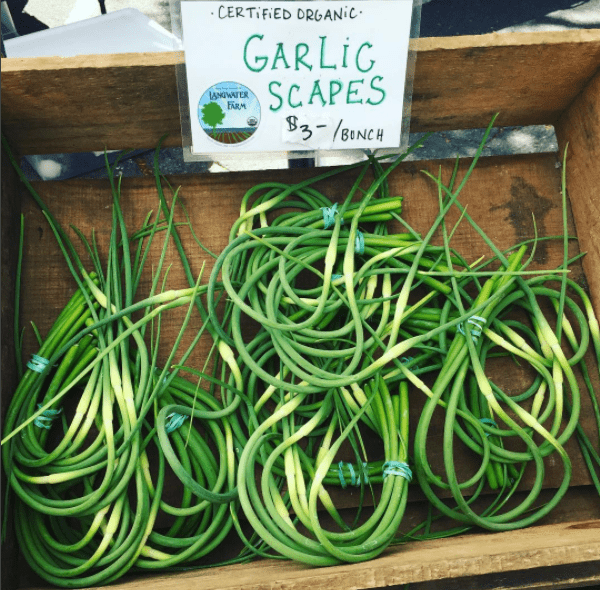 box of garlic scapes 