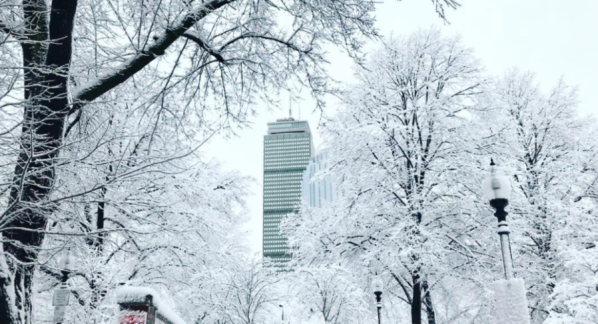 9 Best Things to Do in Boston in Winter - Make the Most of Your Winter  Visit to Boston – Go Guides