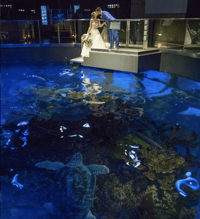 aquarium