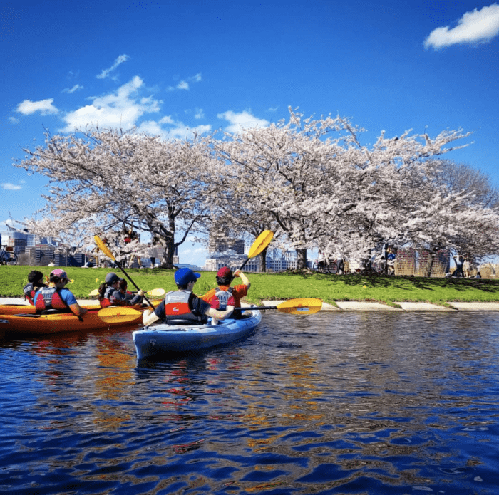 kayaks on water