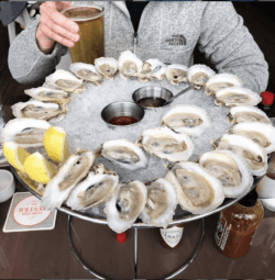 oysters at island creek oyster bar boston ma