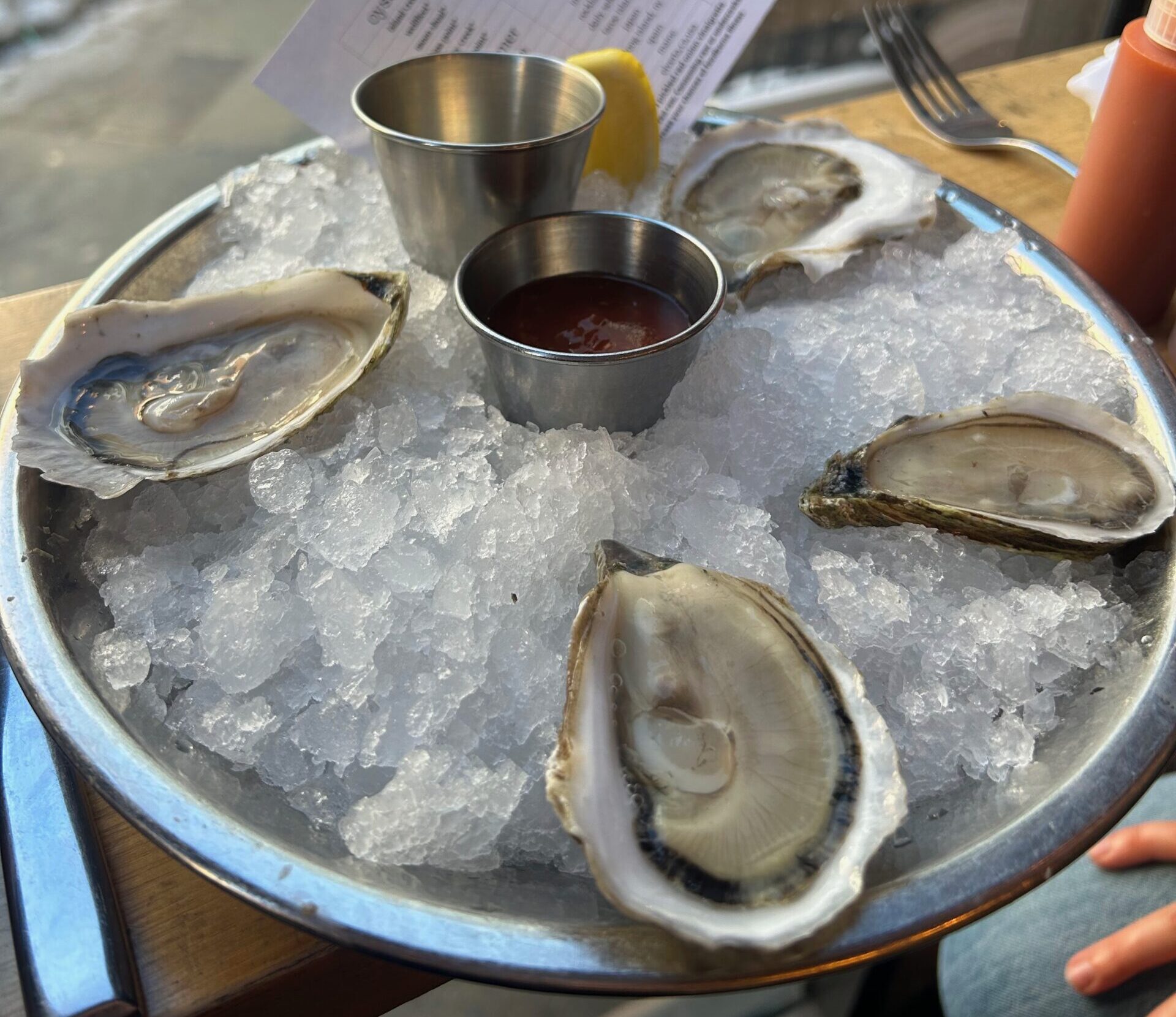 four large raw oysters on ice