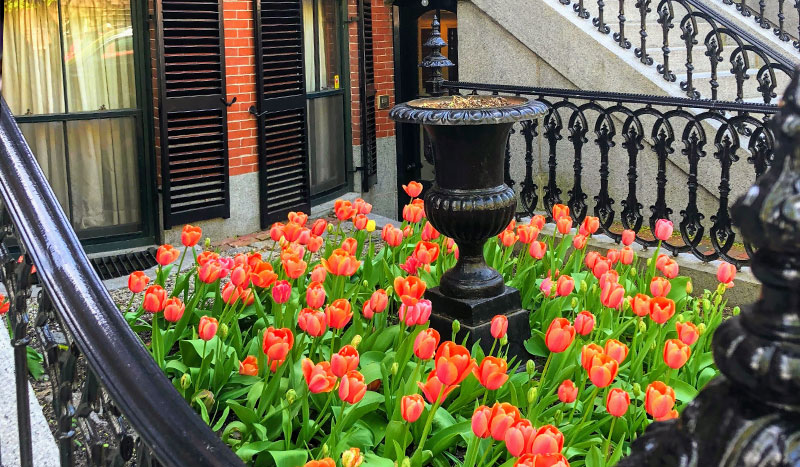 South End Happy Hour Stroll