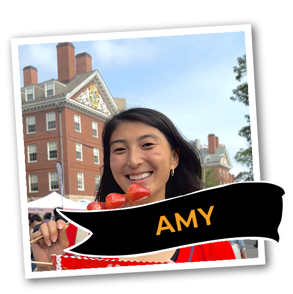 Amy Lu, Bites of Boston tour guide